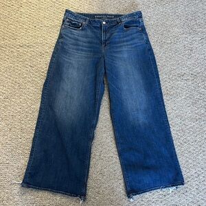 American Eagle Outfitters low rise baggy wide leg jean